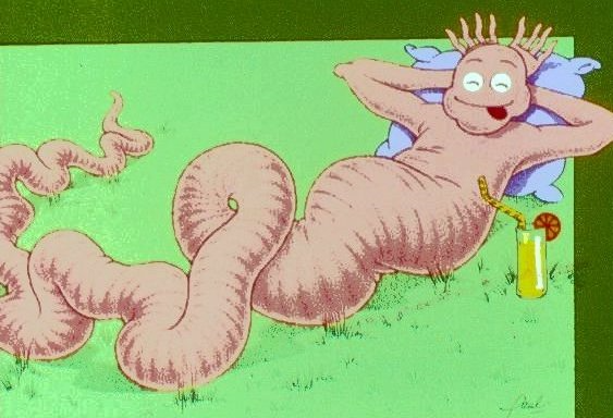 Ook de simpelste worm is deelgenoot van dit immens, grote Heelal.